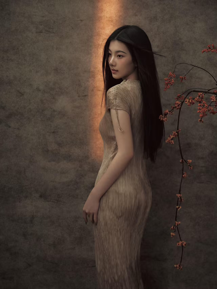 New 2026 Chinese Style Portrai - Vintage Fashion Art recension och pris